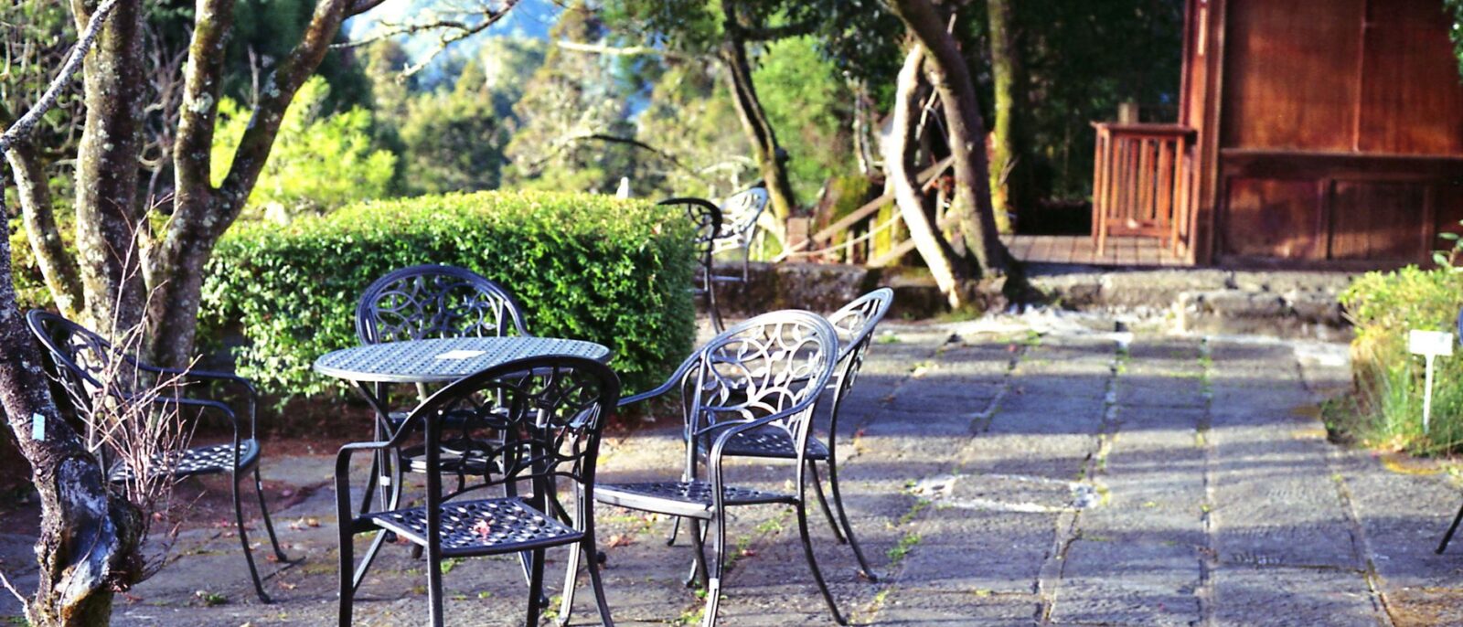 Área verde tranquila de pousada em Lindóia SP com jardins preservados e vegetação exuberante para descanso