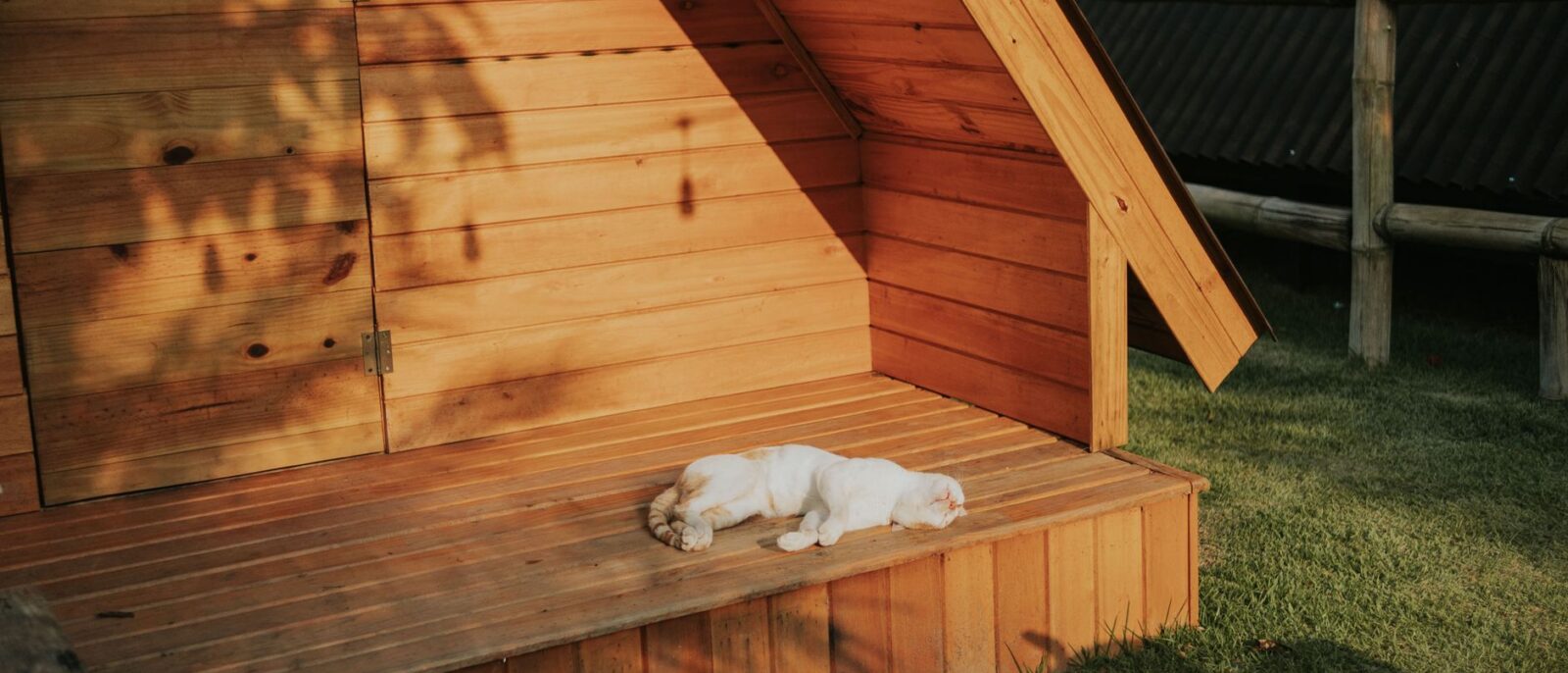 Cena tranquila de um cachorro dormindo na varanda de uma cabana de madeira sob a luz solar quente