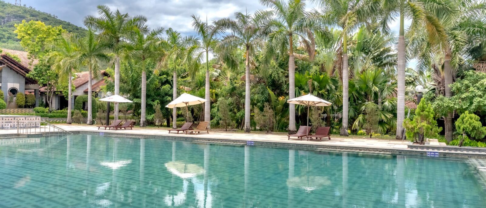 Vista serena à beira da piscina com palmeiras e espreguiçadeiras sob céus nublados