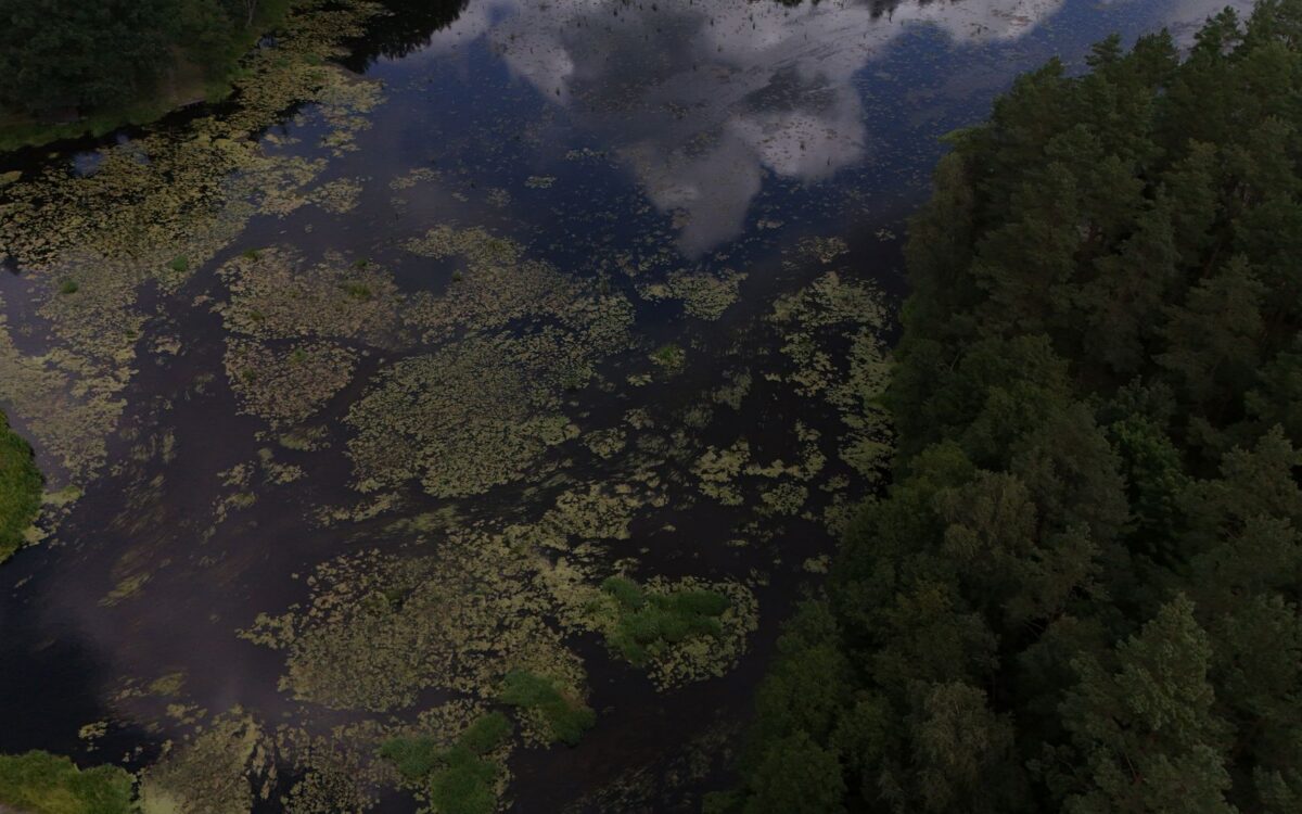 Uma vista aérea impressionante de uma lagoa florestal com reflexos de nuvens e vegetação exuberante