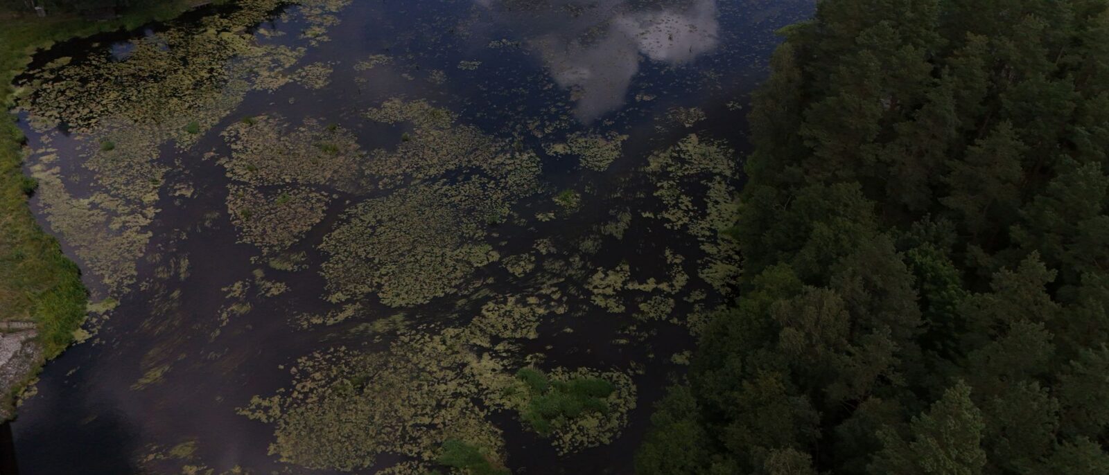 Uma vista aérea impressionante de uma lagoa florestal com reflexos de nuvens e vegetação exuberante